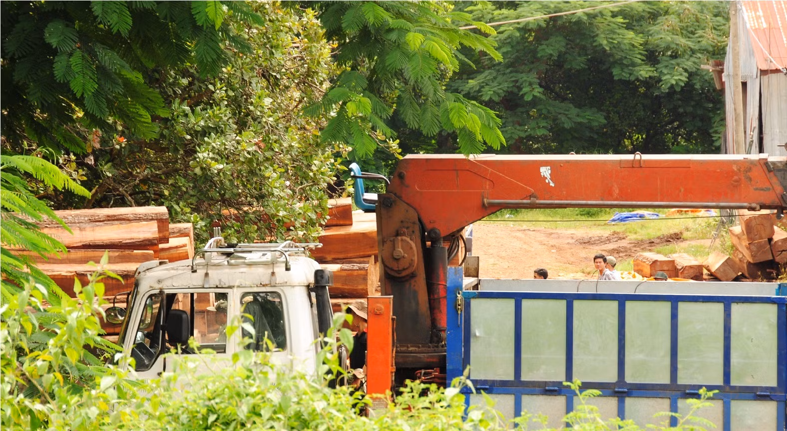 Cảnh cáo nguyên Cục trưởng Cục Thi hành án dân sự Đắk Lắk -0