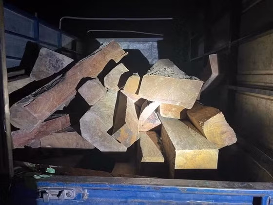 Bắt vụ vận chuyển trái phép 2 tấn gỗ hương tía quý hiếm -0