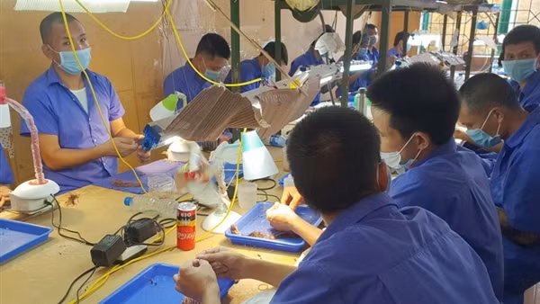 Bắt hai đối tượng chuyên dụ người khác “lên tiên” cùng 5.731 viên ma túy ảnh 6