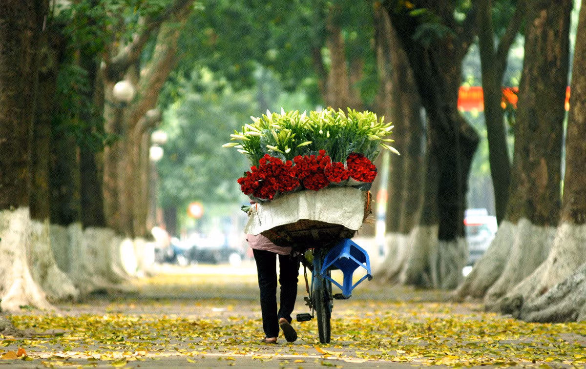 Hà Nội mùa thu, nơi thướt tha màu nhớ -0