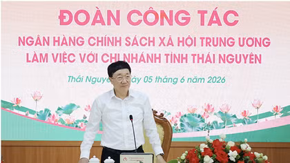 Tổng Giám đốc NHCSXH Dương Quyết Thắng phát biểu kết luận buổi làm việc.