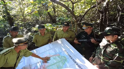 Đổi mới tài chính lâm nghiệp: Hiệu quả từ số hóa dịch vụ môi trường rừng