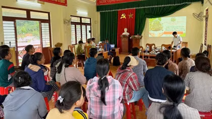 Đà Nẵng phát huy vai trò cộng đồng, đẩy mạnh quản lý và phát triển rừng bền vững