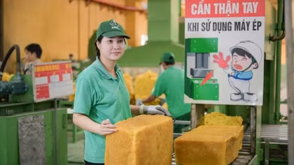 Ngành Cao su Việt Nam: 97 năm truyền thống vươn xa và phát triển bền vững