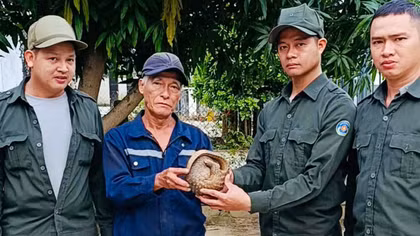 Đà Nẵng tăng cường công tác quản lý, bảo vệ rừng phòng hộ