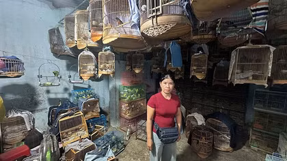 Vẫn sôi động “chợ đen” động vật hoang dã