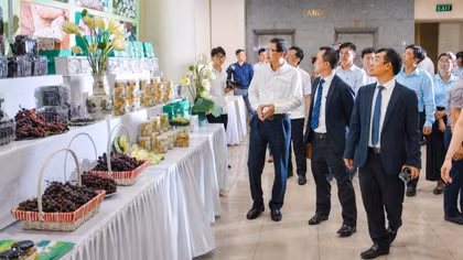 551 dự án, 1.426 mô hình khoa học và công nghệ nâng cao sinh kế cho người dân