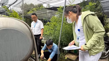 Hà Nội: Bệnh nhân sốt xuất huyết ghi nhận tại 115/126 xã, phường