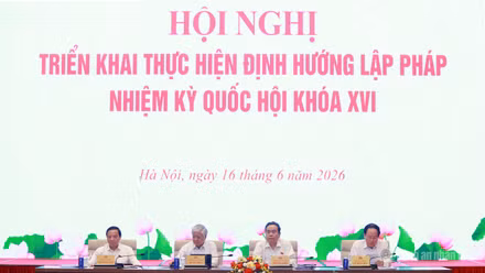 Chấm dứt tình trạng luật chờ nghị định, nghị định chờ thông tư