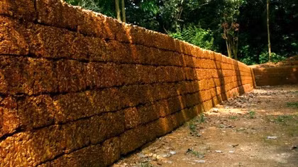 BỞI VÌ MÂY VẪN TRẮNG
