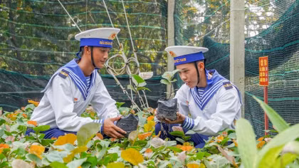 GOM NẮNG GIỮA BIỂN