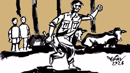 Hoa sữa đèo Đăk Pơ