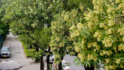 Đừng đồng bộ hóa niềm thương nhớ