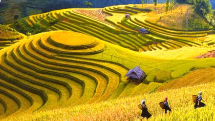 BÀI CA THÁNG BẢY