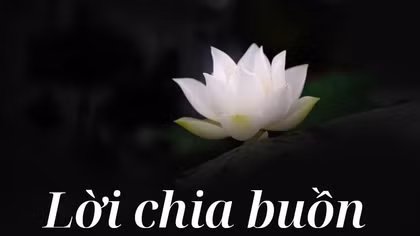 Lời chia buồn đến gia đình đồng chí Vũ Thị Lan Hương
