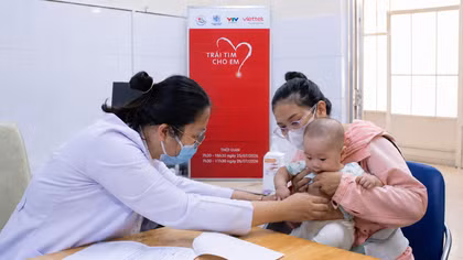 Cuộc tìm kiếm và vá lại những "trái tim lỗi"