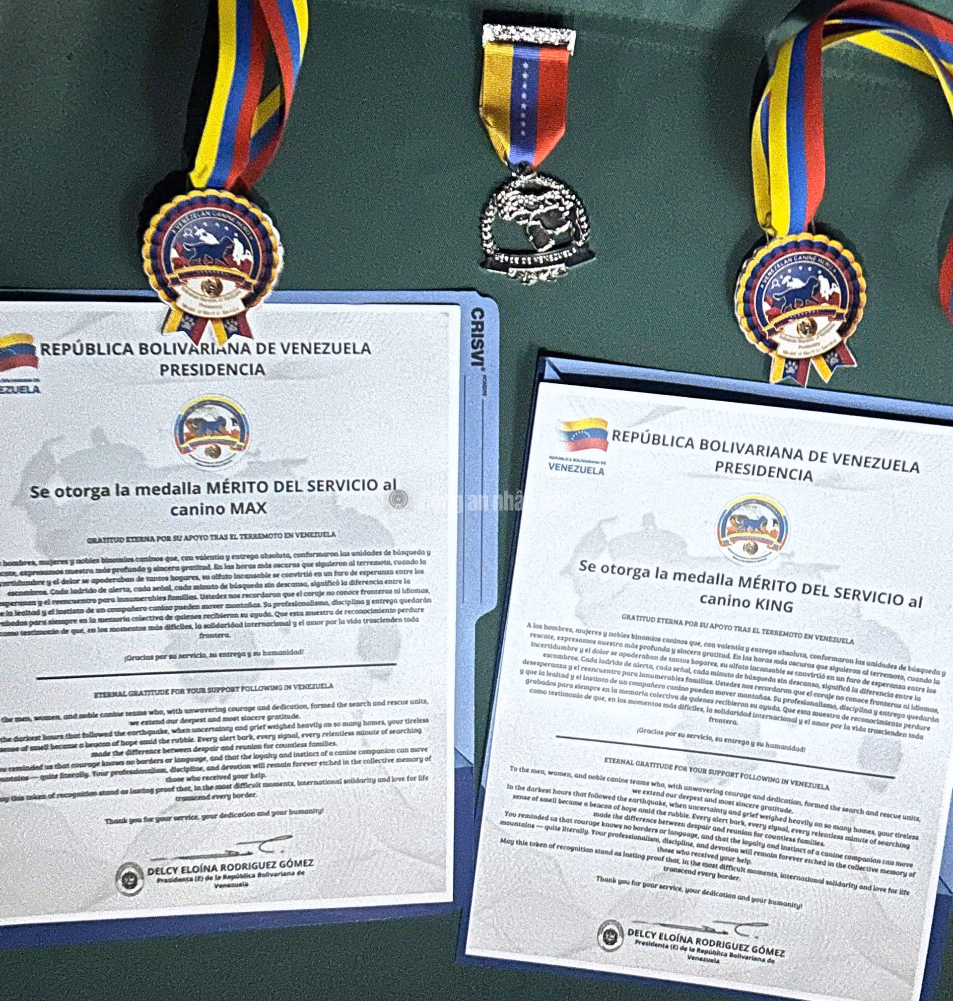 King và Max vinh dự được Chính phủ Venezuela trao tặng danh hiệu “Anh hùng Chó nghiệp vụ Venezuela” (Héroes Caninos de Venezuela).