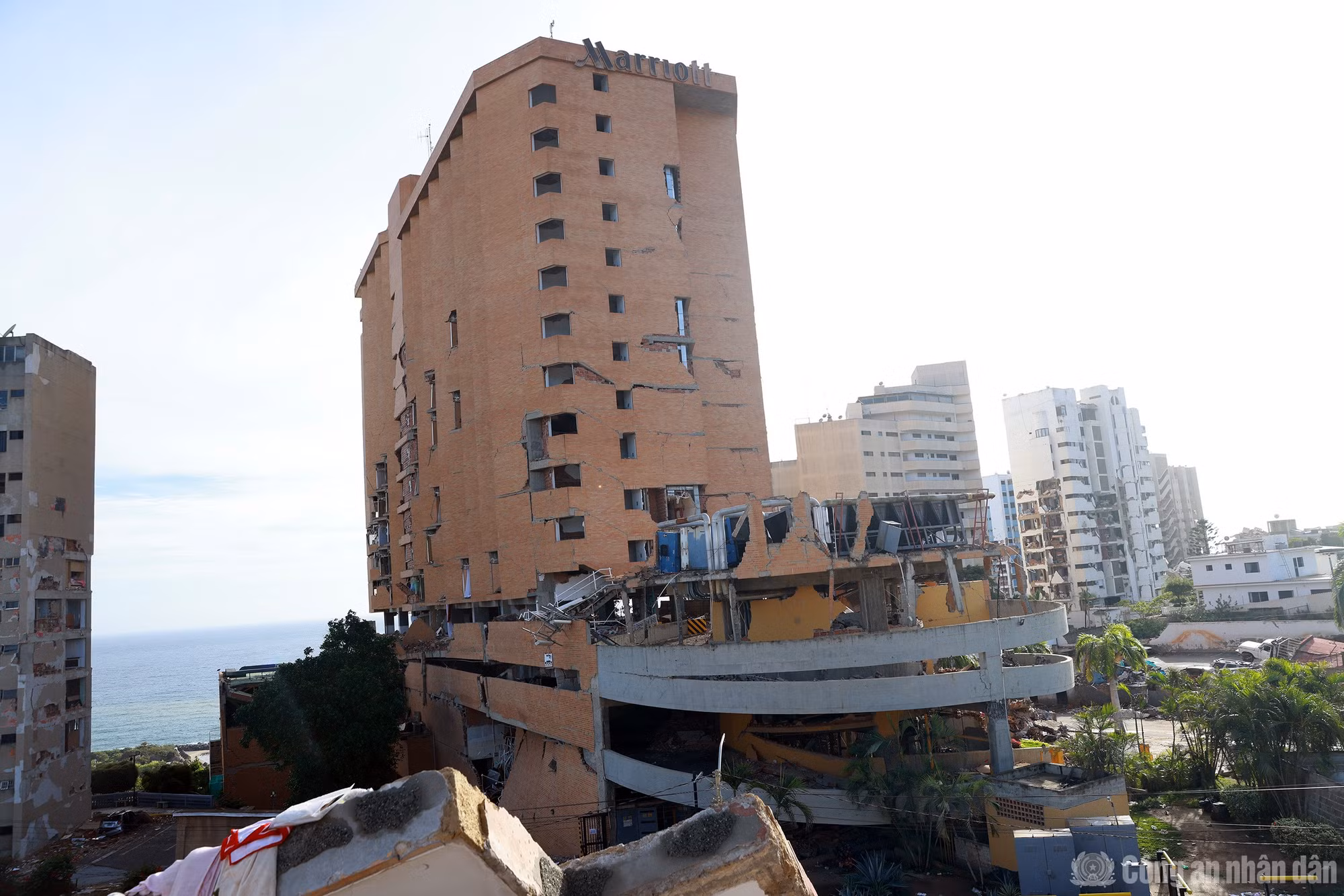 cand_br_k-ha5345.jpg