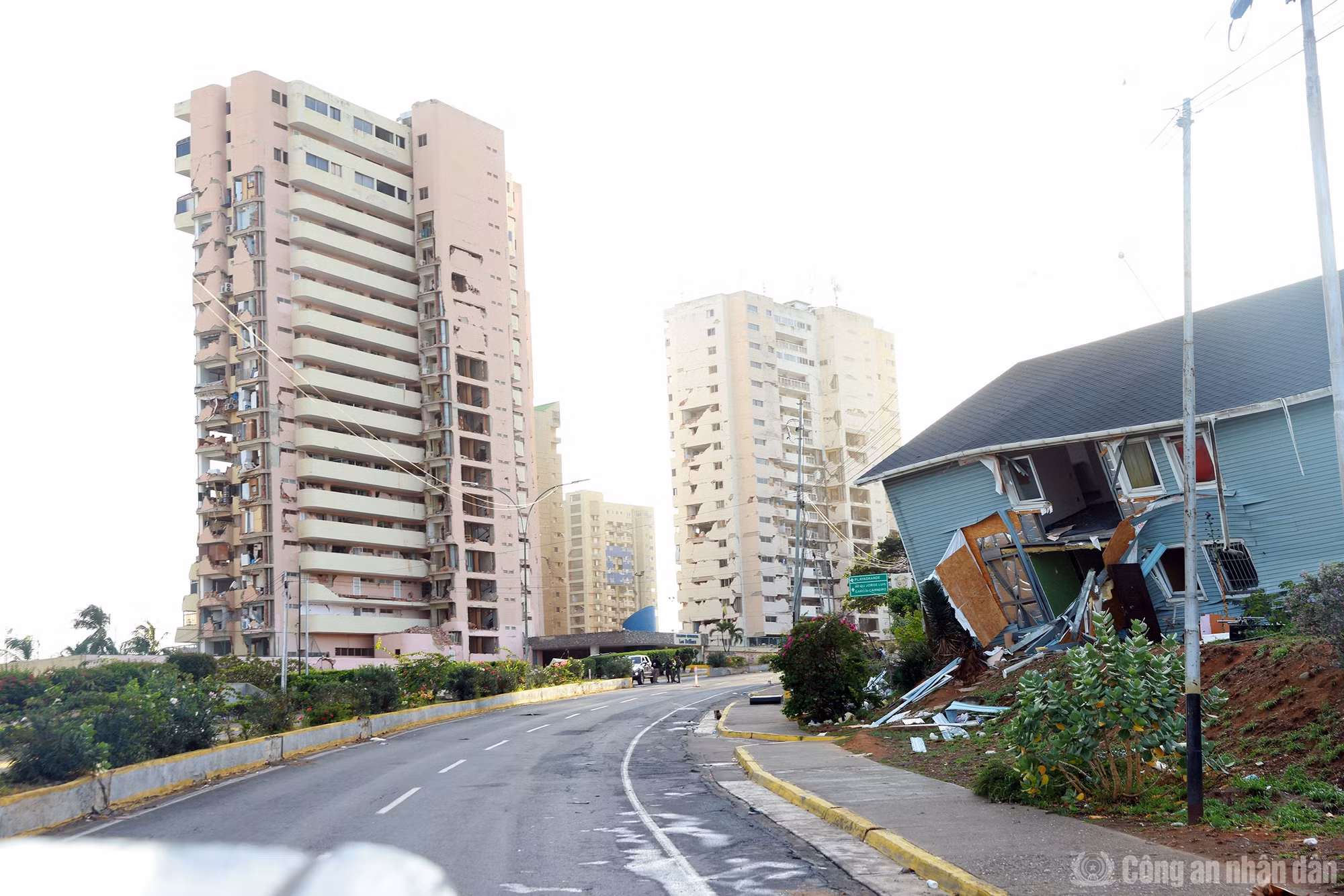 cand_br_k-ha5276.jpg