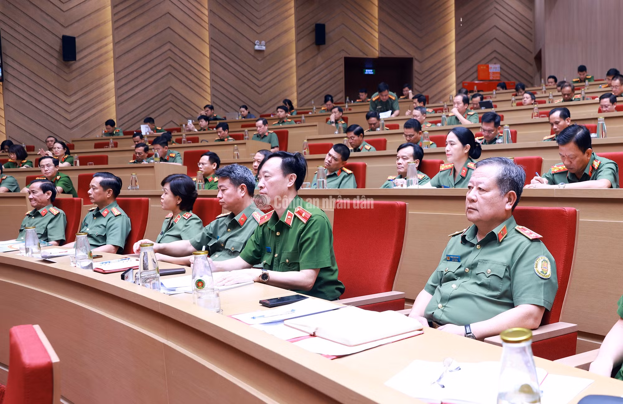 cand_c_k-ha1342.jpg
