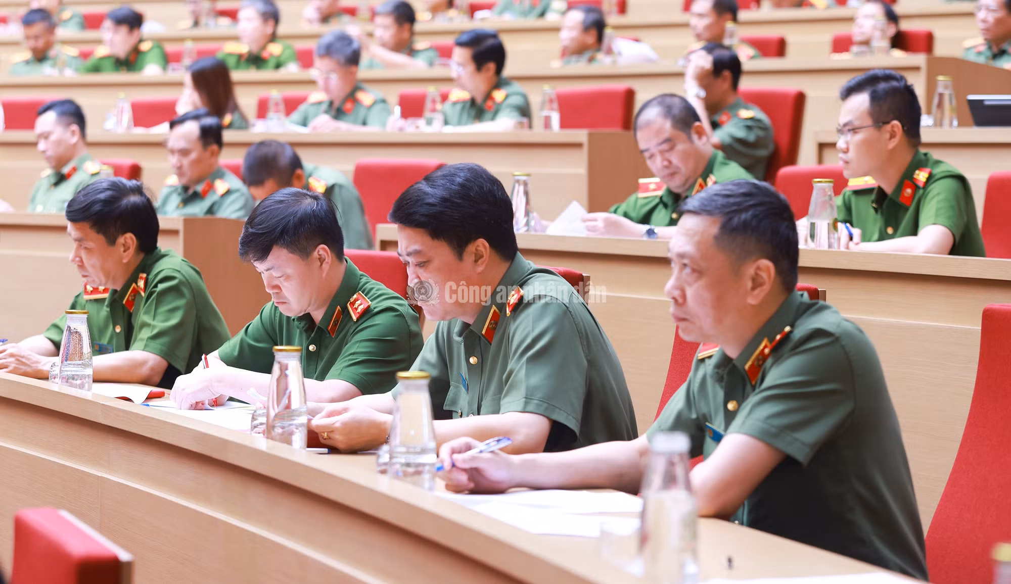 cand_c_k-ha1305.jpg