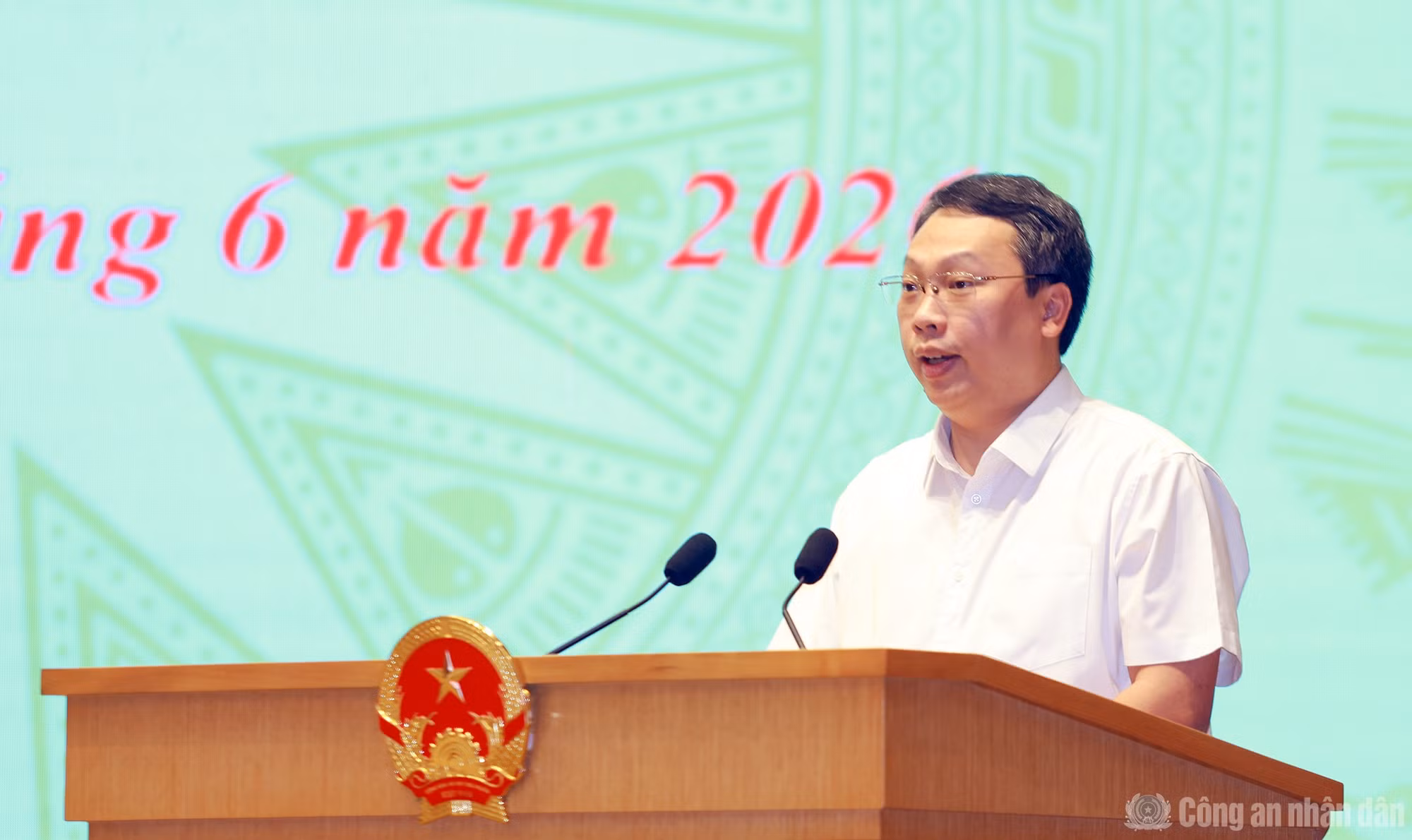 cand_br_k-ha3507.jpg