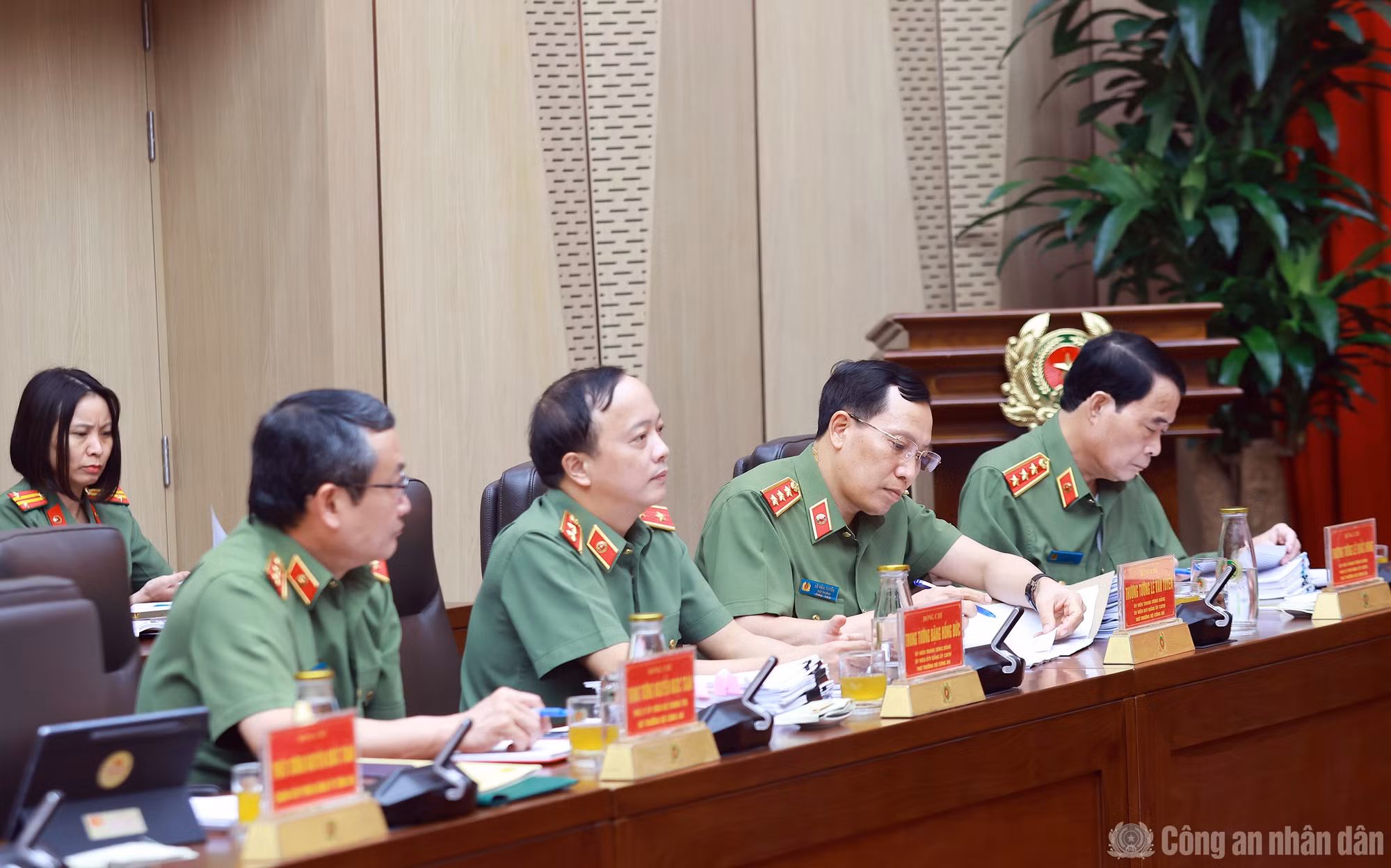 cand_br_k-ha1535.jpg
