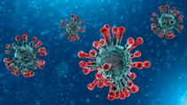 Nga xếp virus Corona cạnh HIV, cấm tàu đi sang Trung Quốc