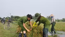 Công an Ninh Bình giúp dân sau mưa lũ