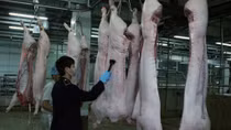 Ỳ ạch Quy hoạch giết mổ gia súc, gia cầm