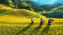 Thị trường du lịch 30-4, 1-5: Nhiều khuyến mại, giảm giá để hút khách