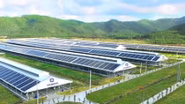 Siêu dự án trang trại của Vinamilk tại Lào sẽ “cho sữa” vào đầu năm 2022