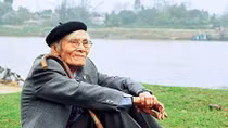 Cùng Hoàng Cầm đi tìm lá diêu bông
