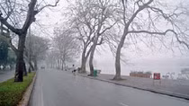 Trong cơn gió rét