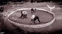 Nông thôn Việt Nam và cuộc cách mạng ruộng đất lần thứ ba