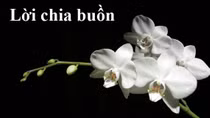 Lời chia buồn