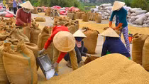 Hàng loạt sai phạm tại Tổng Công ty Lương thực Miền Nam