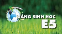 Hà Nội hỗ trợ các cơ sở phân phối xăng sinh học E5, E10