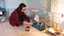 Cảm động "Trạm cứu hộ chó, mèo" của giới trẻ Hà Nội