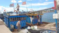 Cử tri Hà Nội đề xuất lập Bộ Hải sản