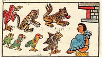 Vườn thú Motezuma – kho tàng truyền thuyết của đế chế Aztec cổ xưa