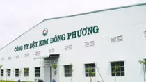 Cần giải quyết đúng đắn vụ án để bảo vệ tài sản Nhà nước