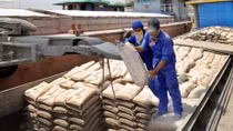 Cần chấn chỉnh xuất khẩu xi măng của các doanh nghiệp