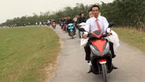 Những con đê vào xuân