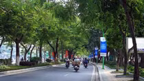 Hà Nội cử cán bộ ra nước ngoài học trồng cây xanh đô thị