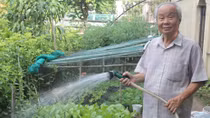 Những chiều bình yên bên đời...