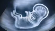 Trung Quốc nghiên cứu thành công biến đổi gene phôi thai người