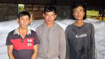 Cuối năm phát hiện 3 đối tượng vận chuyển gần 1.000 bao đường cát lậu