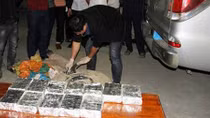 Sử dụng xe biển giả vận chuyển 40 bánh heroin