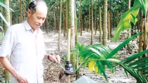 Ngưỡng mộ lão nông với những phát minh cực "độc" 